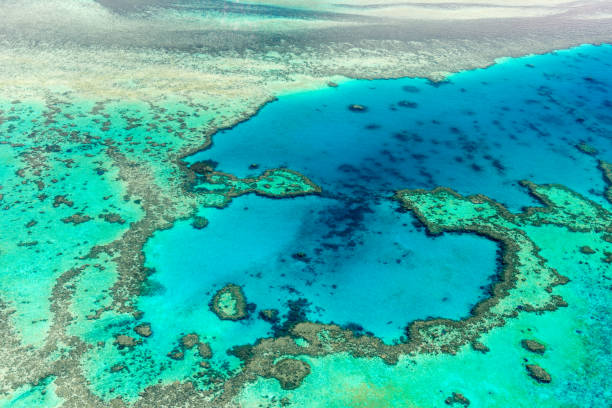 istock Aerial view of the Great Barrier Reef 672343320