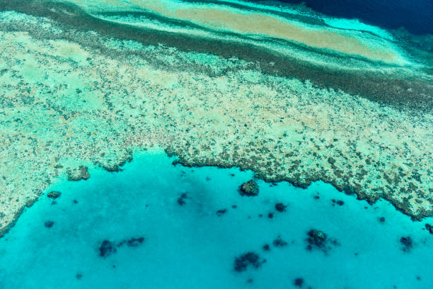 istock Aerial view of the Great Barrier Reef 672343740