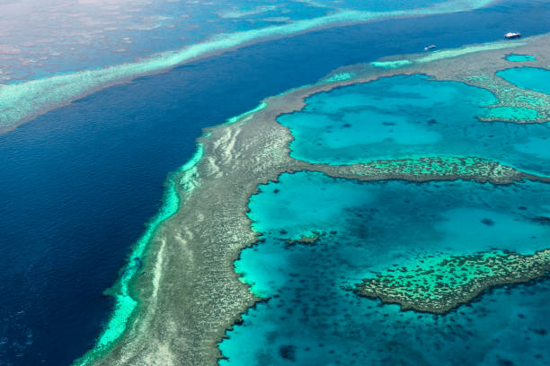 istock Aerial view of the Great Barrier Reef 672343840