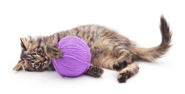 istock Kitten with ball of yarn. 672343934