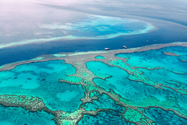 istock Aerial view of the Great Barrier Reef 672344026