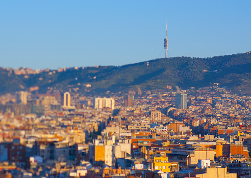 Barcelona's cityscape from Montjuïc mountain