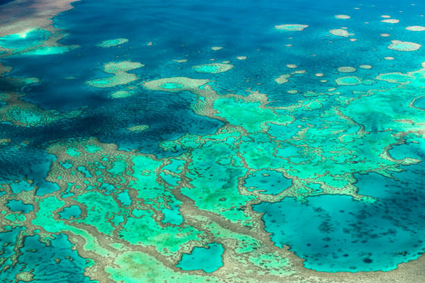 istock Aerial view of the Great Barrier Reef 672346714