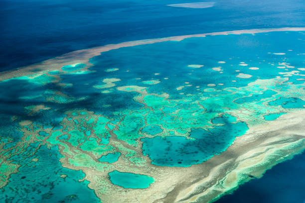 istock Aerial view of the Great Barrier Reef 672346792