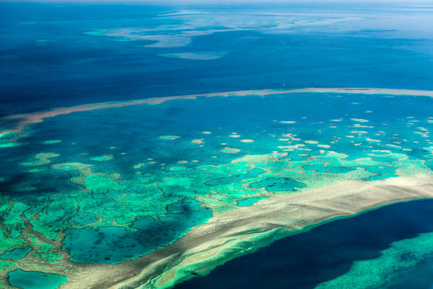 istock Aerial view of the Great Barrier Reef 672346868