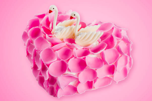 Love swan cake stock photo