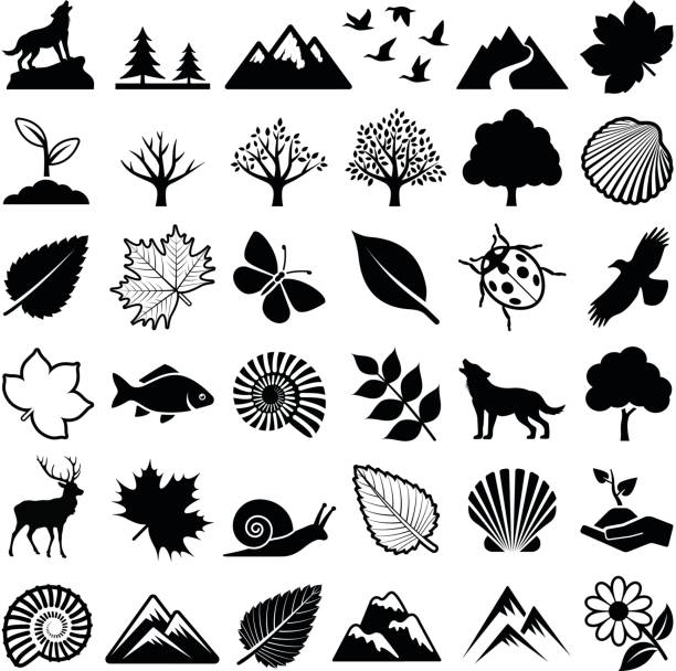 ilustraciones, imágenes clip art, dibujos animados e iconos de stock de iconos de la naturaleza - fossil leaves