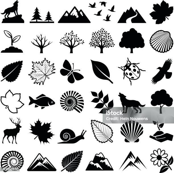 Nature Icons Stock Illustration - Download Image Now - Icon Symbol, Forest, Insect