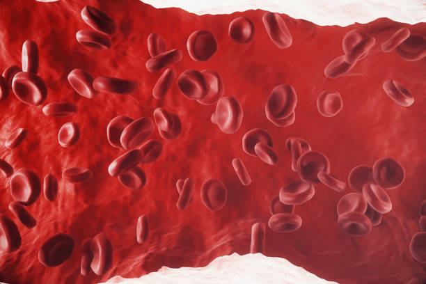 istock Red blood cells in vein or artery, flow inside inside a living organism, 3d rendering 672350456