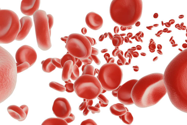 istock Abstract red blood cells, scientific or medical or microbiological concept, 3d rendering isolated on white background 672350566
