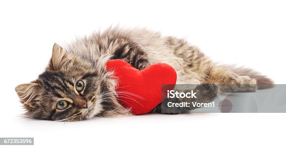 istock Cat with toy heart. 672353596