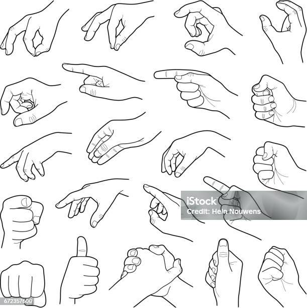Hands Stock Illustration - Download Image Now - Hand, Vector, Pointing