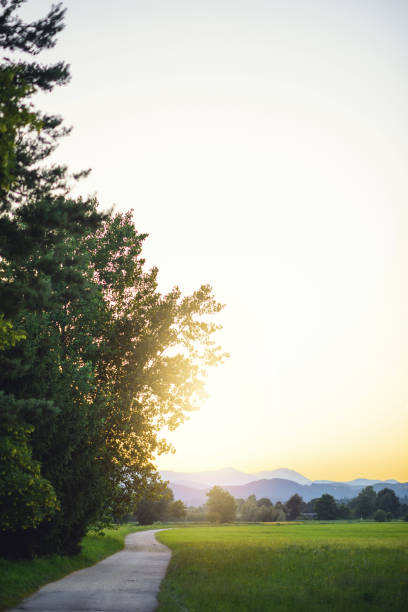 istock Country road in the evening 672357762