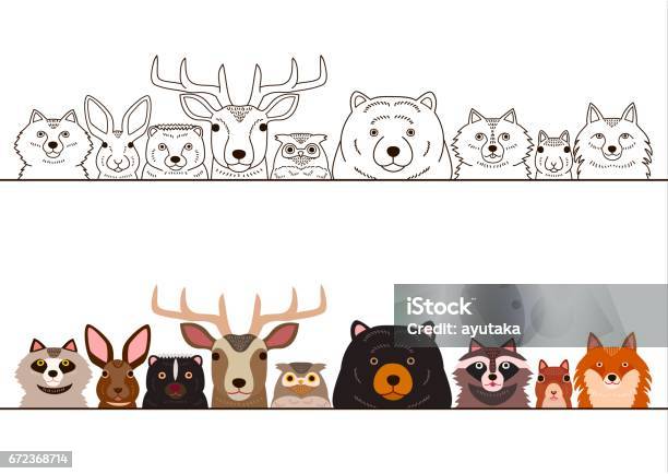 Woodland Animals Border Set Stock Illustration - Download Image Now - Raccoon, Black And White, Drawing - Art Product