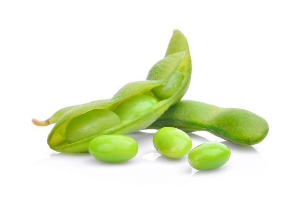 다 마 메 콩 흰색 배경에 고립 - edamame 뉴스 사진 이미지