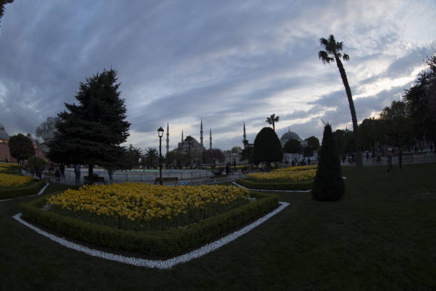 istock Tulip carpet with geometrical patterns at Sultanahmet square in Istanbul, with people. 672376478