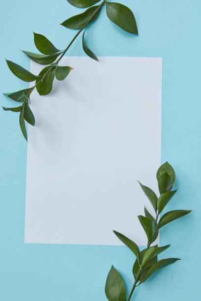 istock Green twigs covering blank copy space 672377842