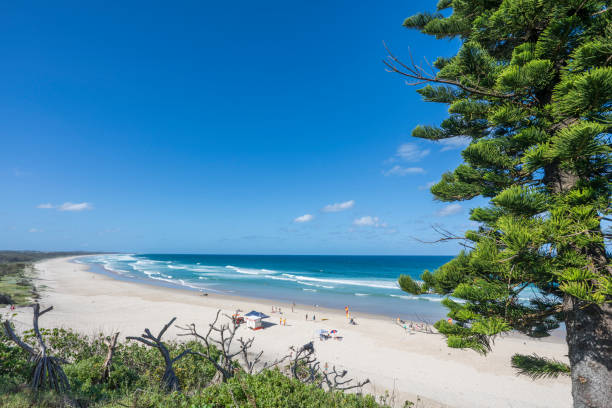 picturesque cabarita beach, nsw, australia - cabarita beach imagens e fotografias de stock