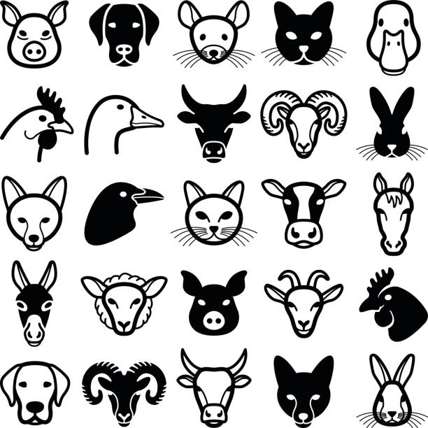 Farm animals Farm animal head icon collection - vector illustration livestock illustrations stock illustrations