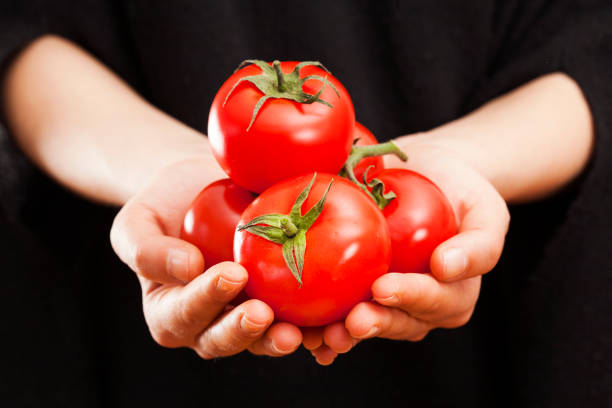 istock Woman hand holding tomato 672390320