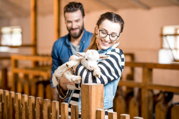 istock Veternians with baby goat 672391622