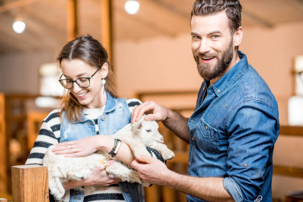 istock Veternians with baby goat 672393838