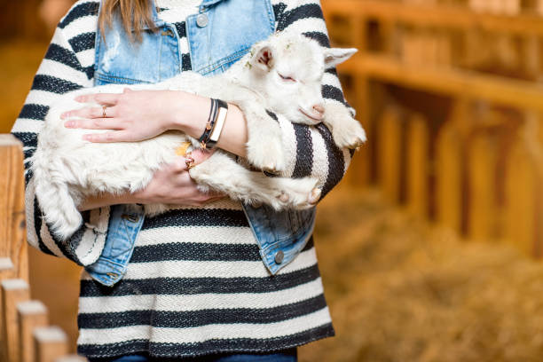 Woman with baby goat