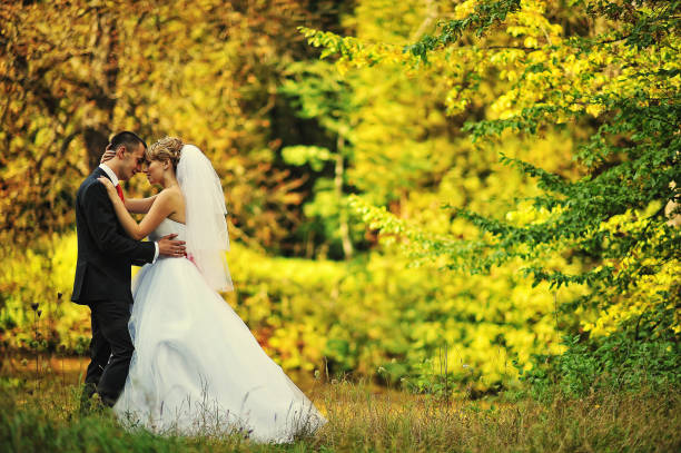 istock Young and gorgeous wedding couple on autumn forest 672394182