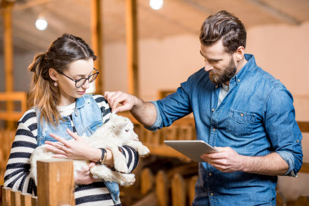 istock Veternians with baby goat 672394224