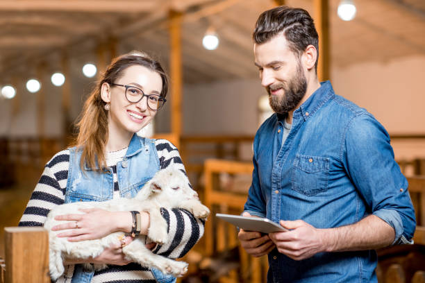 istock Veternians with baby goat 672394272