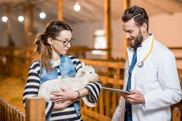 istock Veterinarians with baby goat 672394468