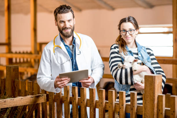 istock Veterinarians with baby goat 672395052
