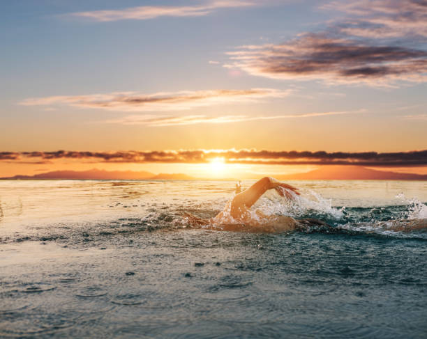 istock Swimming under sunset sky in summer 672399300