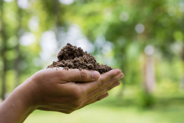 istock Farmer hands holding the soil. 672402406