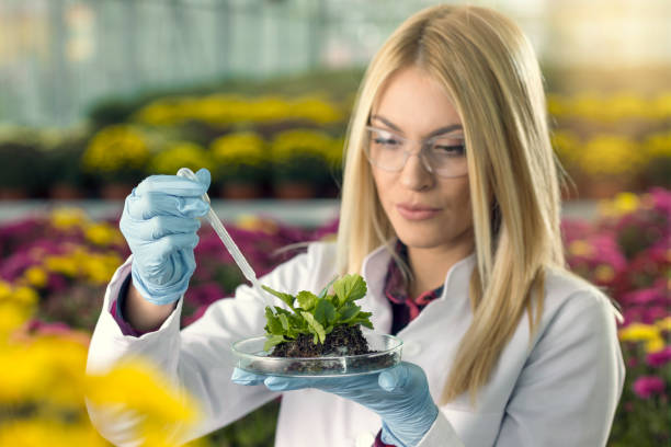 istock Young scientist in the greenhouse 672406700
