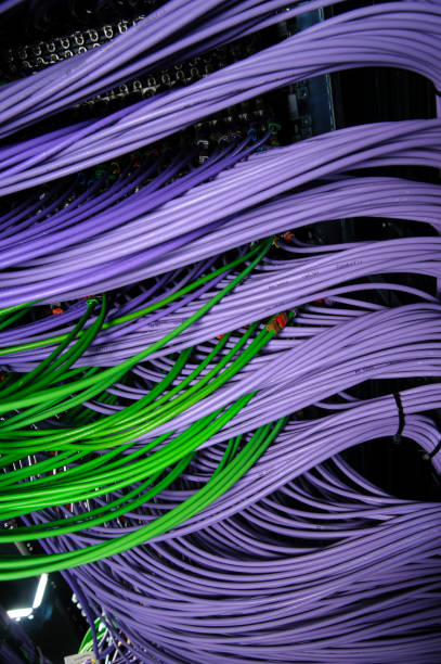 ネットワークの紫と緑の配線は、サーバーに接続します。 - cable network server network connection plug green ストックフォトと画像