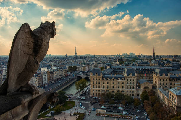 istock Notre-Dame's gargoyle in Paris panorama 672411514