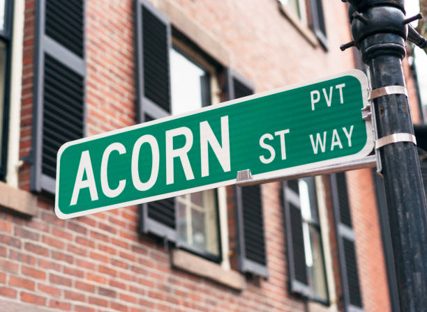 istock Sign for Acorn Street in Boston 672422112