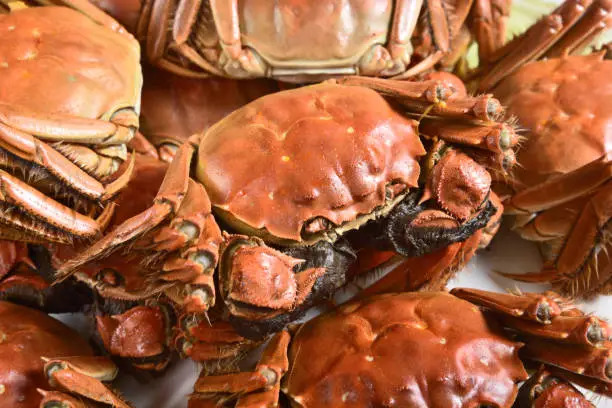 Photo of Steamed Chinese hairy crabs