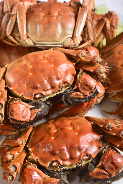 istock Steamed Chinese hairy crabs 672426210