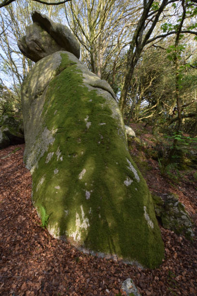istock Carbeans Rocks Luxulyan Valley Cornwall 672432624