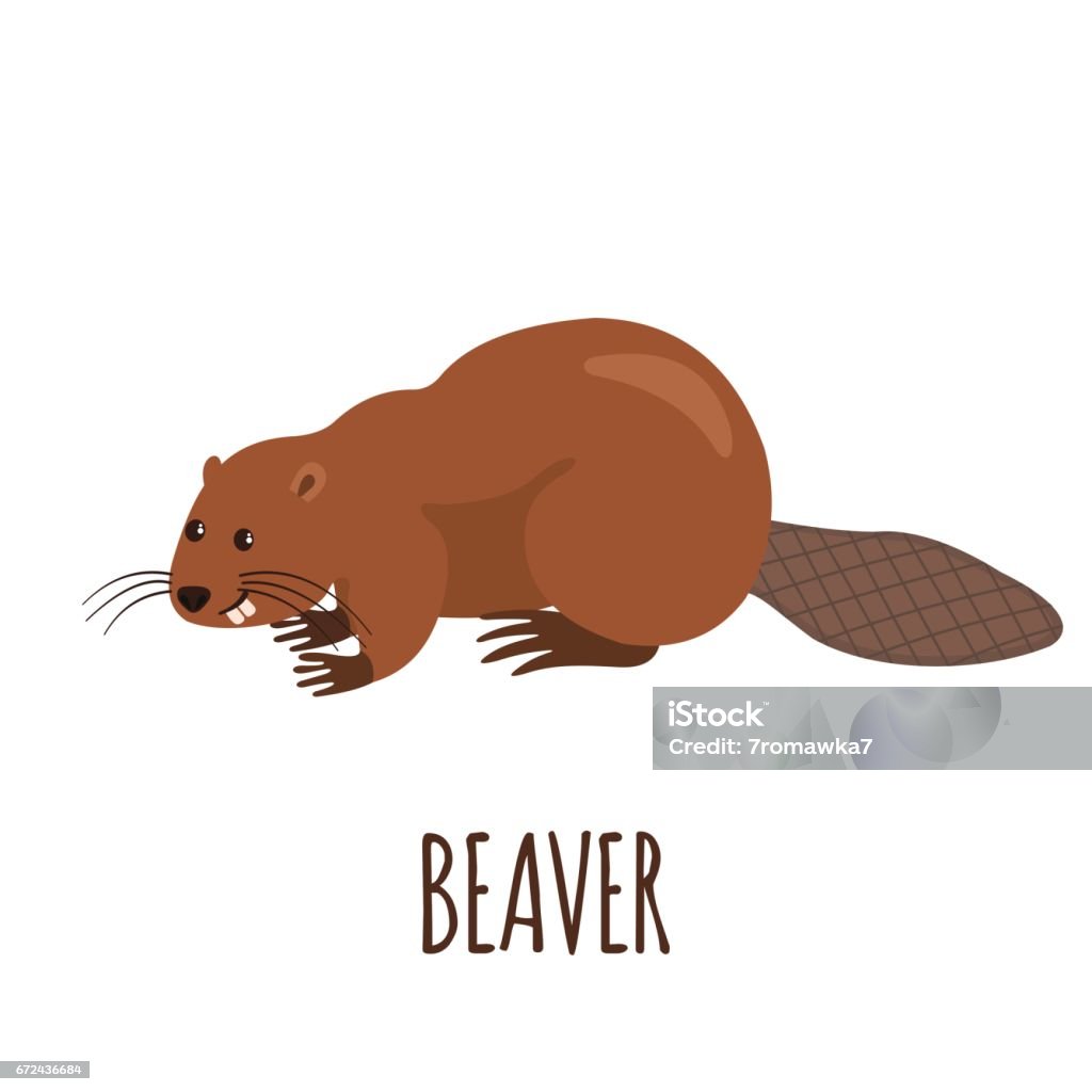 Funny beaver in flat style. Cute beaver in flat style isolated on white background. Vector illustration. Forest animal. Cartoon beaver. Beaver stock vector