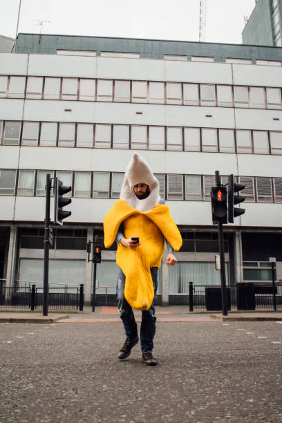 What A Banana! Man wearing a banana costume is distracted by his phone whilst crossing the road, not realising that the crossing is on a red man indicating he wasn't looking. stag night stock pictures, royalty-free photos & images