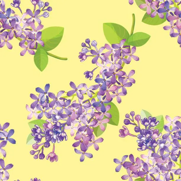 Vector illustration of Seamless pattern Lilac branch flowers blooming spring. Vector illustration