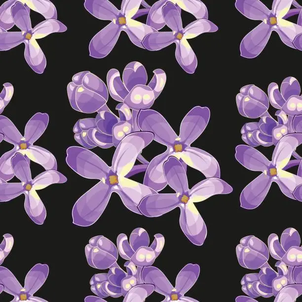 Vector illustration of Seamless pattern Lilac branch flowers blooming spring. Vector illustration