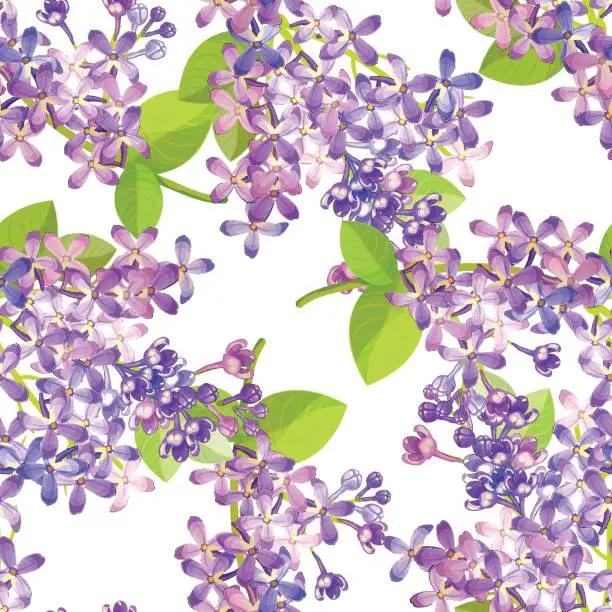 Vector illustration of Seamless pattern Lilac branch flowers blooming spring. Vector illustration