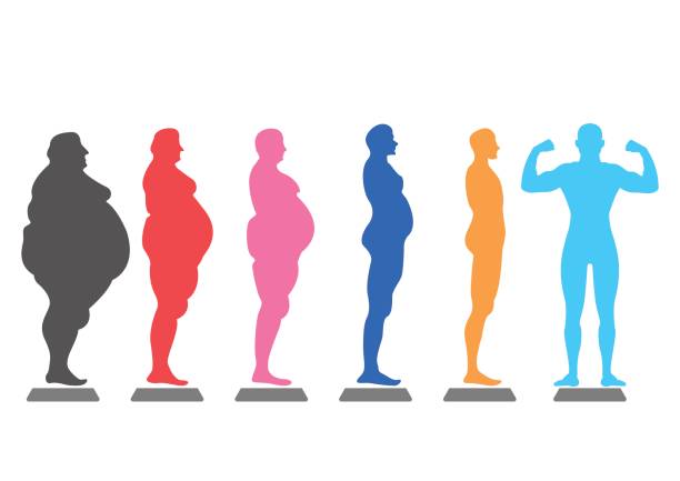 толстое тело, потеря веса, избыточный вес силуэт иллюстрации - eating men fat overweight stock illustrations