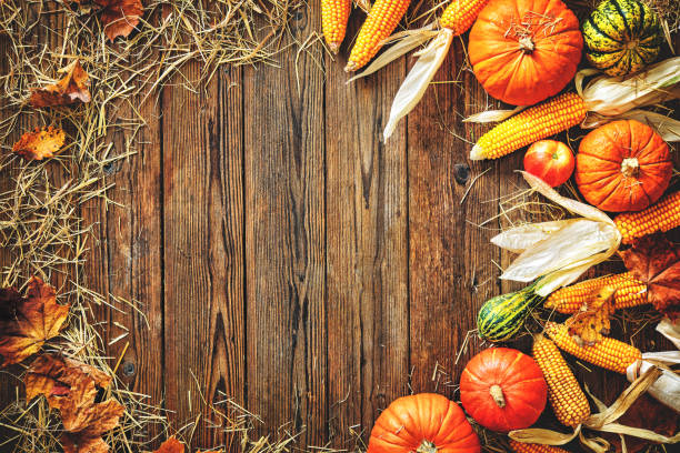 istock Harvest or Thanksgiving background 672452874