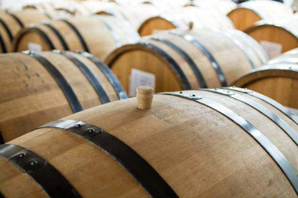 istock Rows of wooden wine barrels 672458508