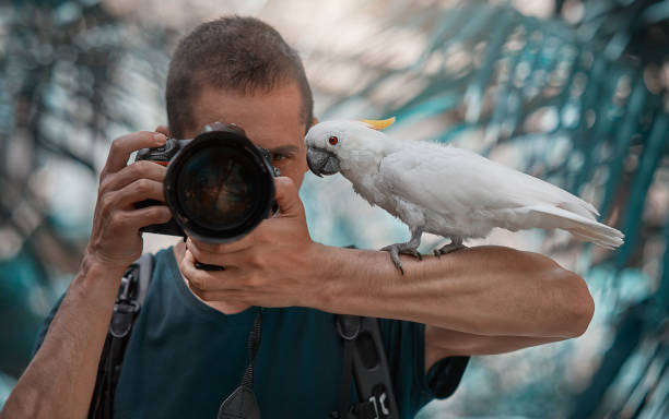 istock photographer with parrot on his arm 672459386